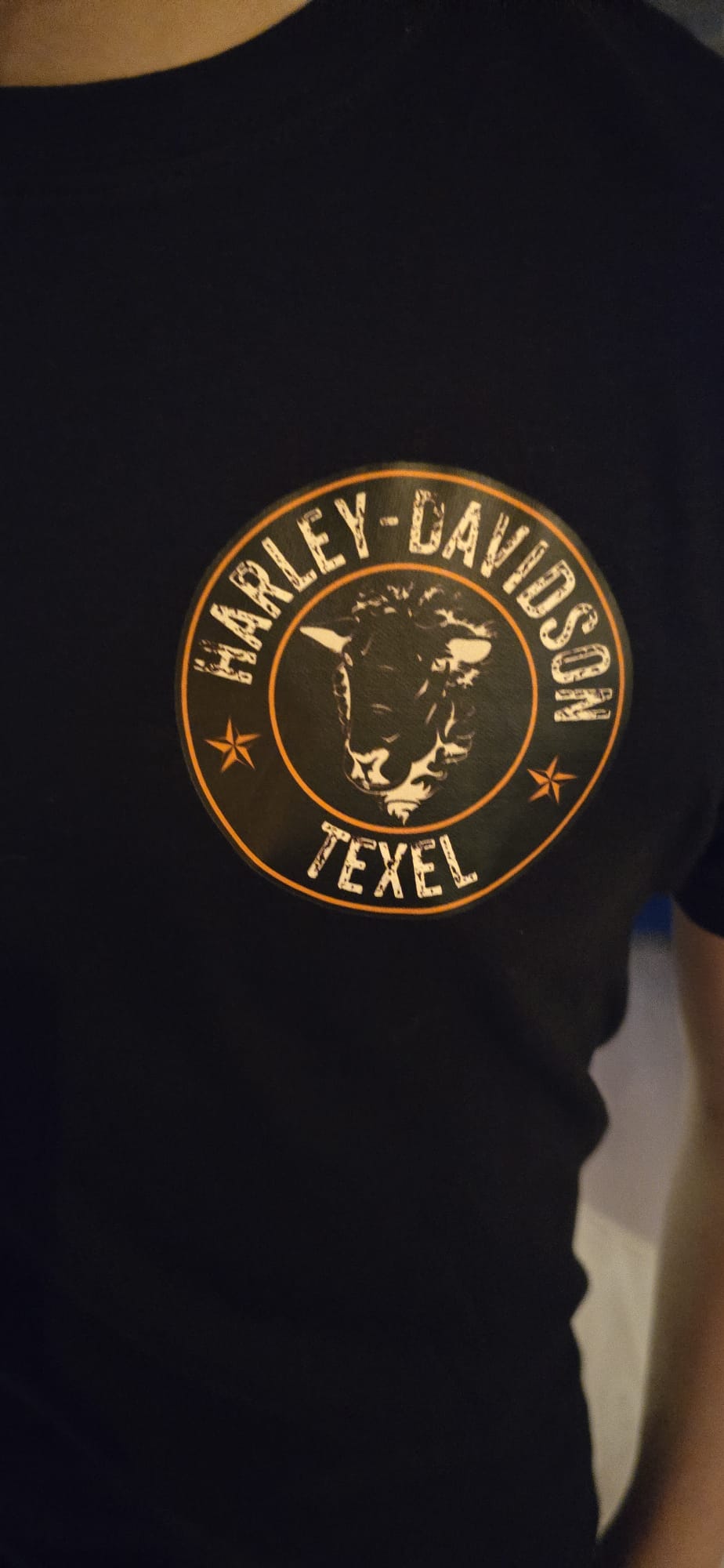 H-D Texel Shirt — Uitverkoop