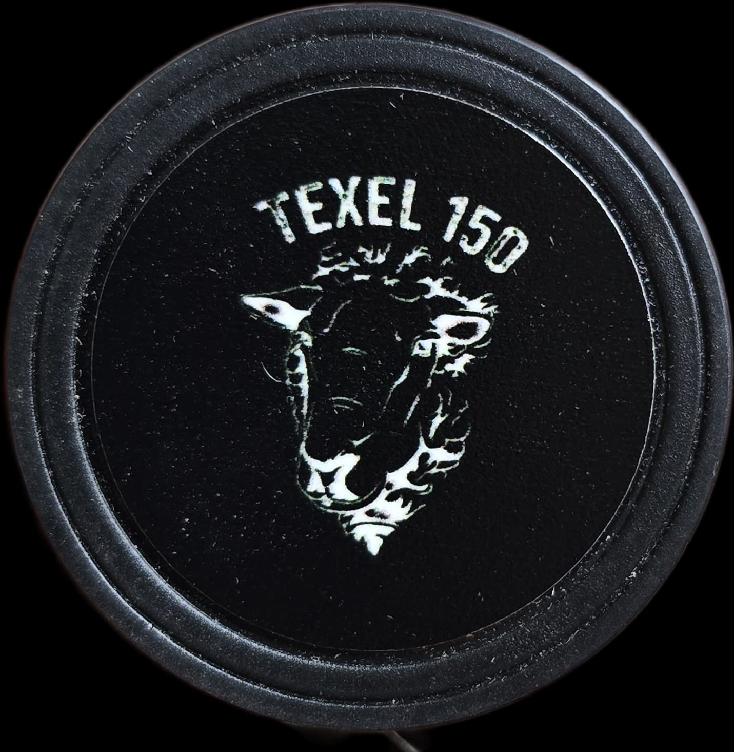 Pokerchip - Texel 150